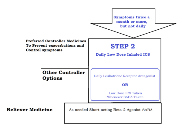 Step 2 (mild) asthma treatment