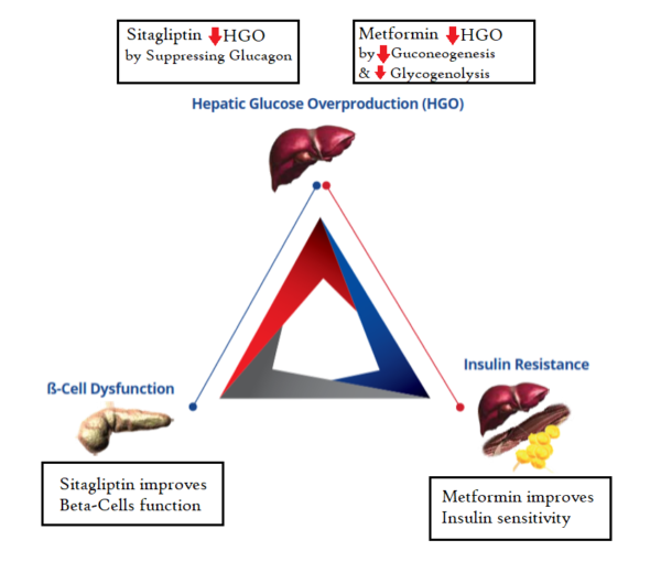 sitaphage targets the triad core defects of diabetes