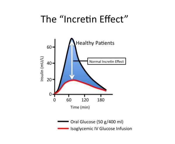 The incretin effect