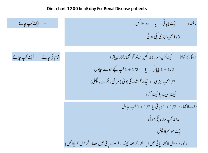 1200 calories diet chart for kidney patients