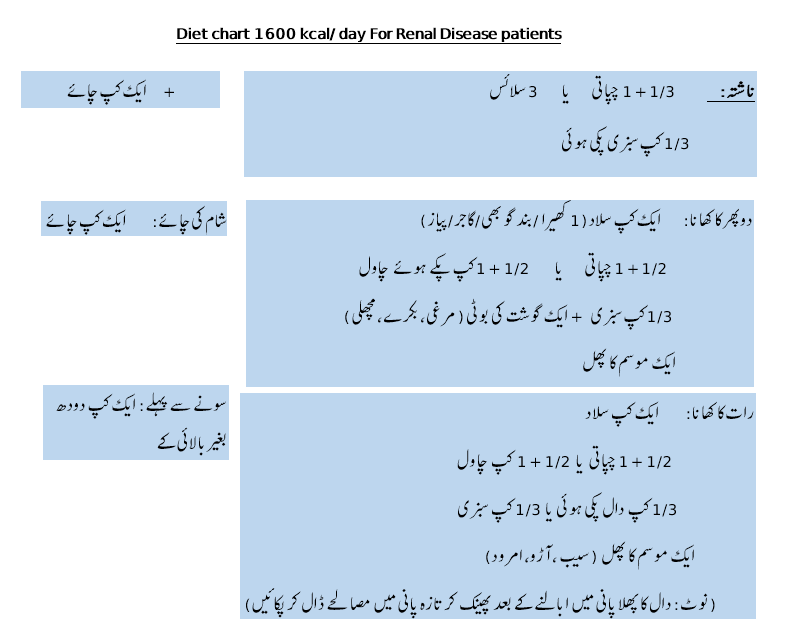 1600 calories diet chart for patients with kidney disease